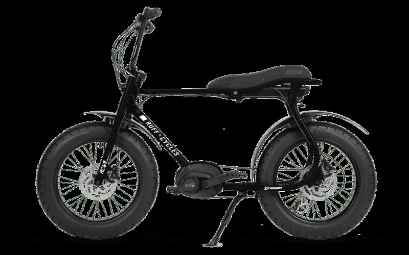 Ruff Cycles Lil'Buddy