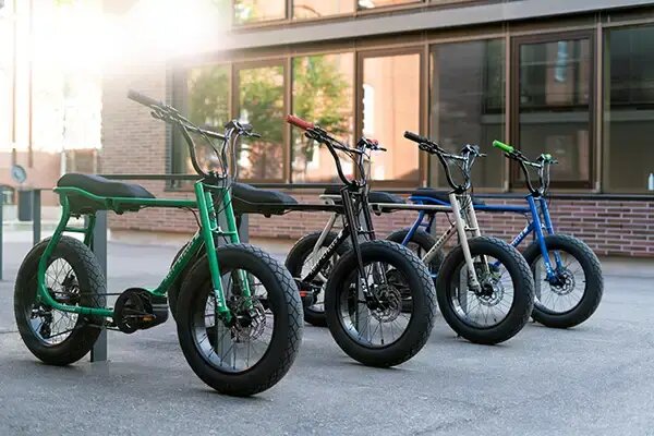 Ruff Cycles Lil'Buddy lifestyle